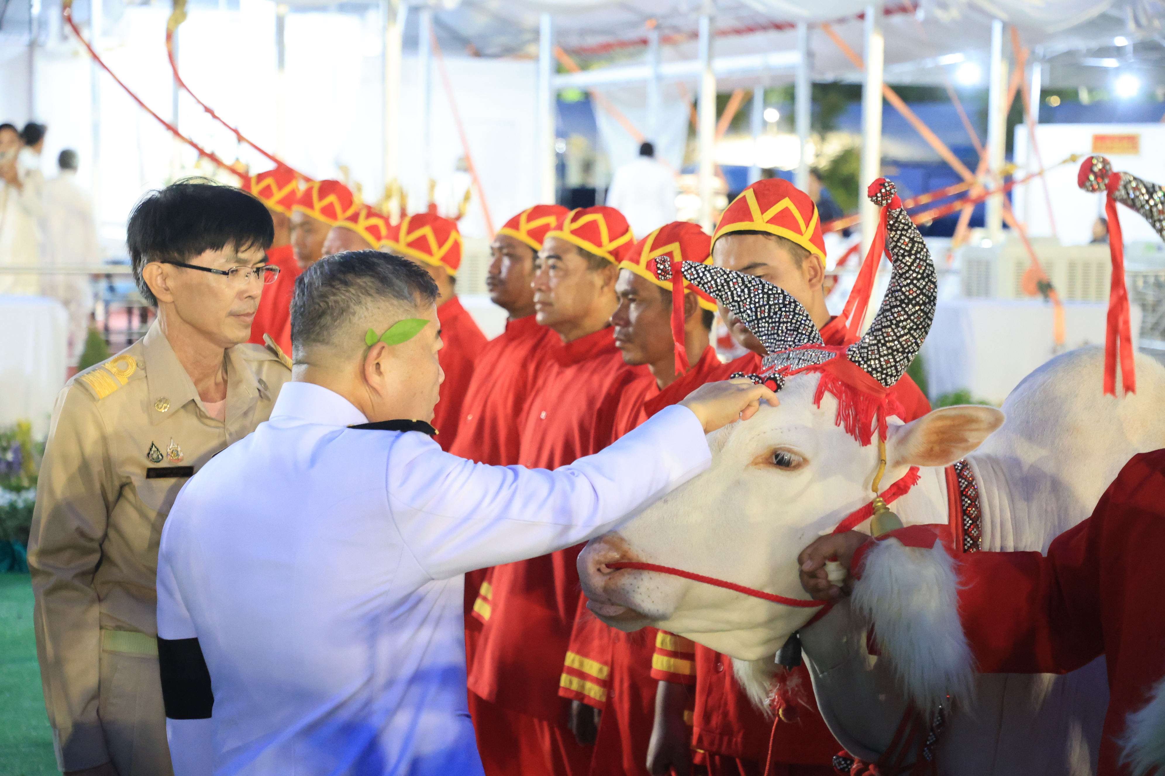 title - ปลัดเกษตรฯ ผู้ทำหน้าที่พระยาแรกนา พร้อมด้วยเทพีคู่หาบทองและเทพีคู่หาบเงิน ทำพิธีล้างมือพระยาแรกนา และเจิมหน้าพระโค